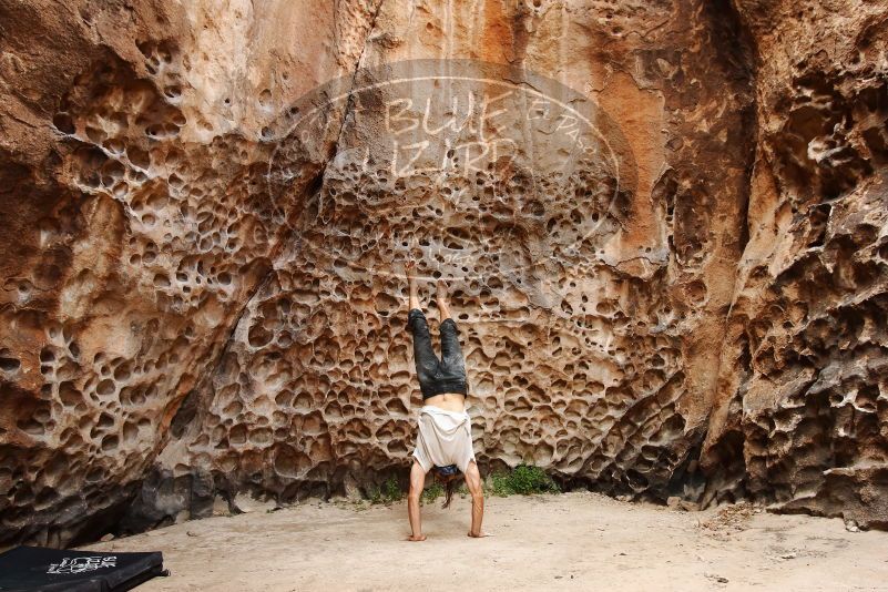 Bouldering in Hueco Tanks on 08/02/2019 with Blue Lizard Climbing and Yoga
Filename: SRM_20190802_1441520.jpg
Aperture: f/5.6
Shutter Speed: 1/100
Body: Canon EOS-1D Mark II
Lens: Canon EF 16-35mm f/2.8 L