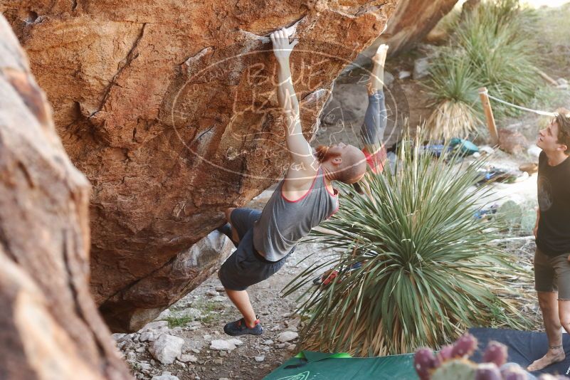 Bouldering in Hueco Tanks on 08/31/2019 with Blue Lizard Climbing and Yoga

Filename: SRM_20190831_1055210.jpg
Aperture: f/4.0
Shutter Speed: 1/125
Body: Canon EOS-1D Mark II
Lens: Canon EF 50mm f/1.8 II