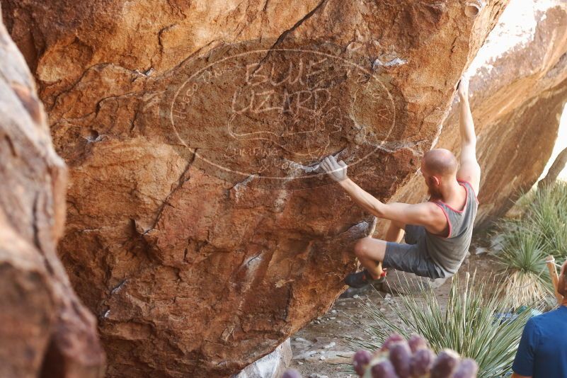 Bouldering in Hueco Tanks on 08/31/2019 with Blue Lizard Climbing and Yoga

Filename: SRM_20190831_1055530.jpg
Aperture: f/4.0
Shutter Speed: 1/125
Body: Canon EOS-1D Mark II
Lens: Canon EF 50mm f/1.8 II