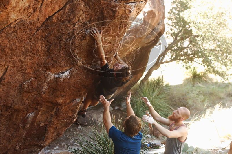 Bouldering in Hueco Tanks on 08/31/2019 with Blue Lizard Climbing and Yoga

Filename: SRM_20190831_1100510.jpg
Aperture: f/4.0
Shutter Speed: 1/200
Body: Canon EOS-1D Mark II
Lens: Canon EF 50mm f/1.8 II