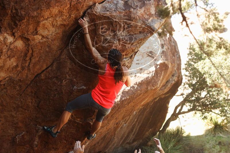 Bouldering in Hueco Tanks on 08/31/2019 with Blue Lizard Climbing and Yoga

Filename: SRM_20190831_1102330.jpg
Aperture: f/4.0
Shutter Speed: 1/320
Body: Canon EOS-1D Mark II
Lens: Canon EF 50mm f/1.8 II