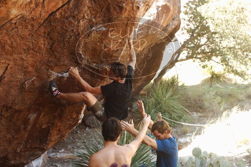 Bouldering in Hueco Tanks on 08/31/2019 with Blue Lizard Climbing and Yoga
Filename: SRM_20190831_1104080.jpg
Aperture: f/4.0
Shutter Speed: 1/200
Body: Canon EOS-1D Mark II
Lens: Canon EF 50mm f/1.8 II