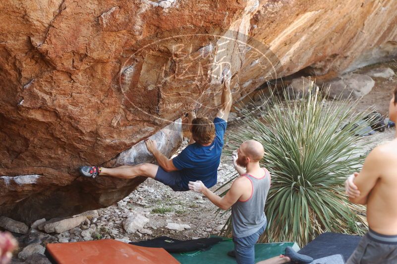 Bouldering in Hueco Tanks on 08/31/2019 with Blue Lizard Climbing and Yoga

Filename: SRM_20190831_1107110.jpg
Aperture: f/3.5
Shutter Speed: 1/160
Body: Canon EOS-1D Mark II
Lens: Canon EF 50mm f/1.8 II
