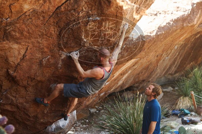 Bouldering in Hueco Tanks on 08/31/2019 with Blue Lizard Climbing and Yoga
Filename: SRM_20190831_1113010.jpg
Aperture: f/3.5
Shutter Speed: 1/400
Body: Canon EOS-1D Mark II
Lens: Canon EF 50mm f/1.8 II