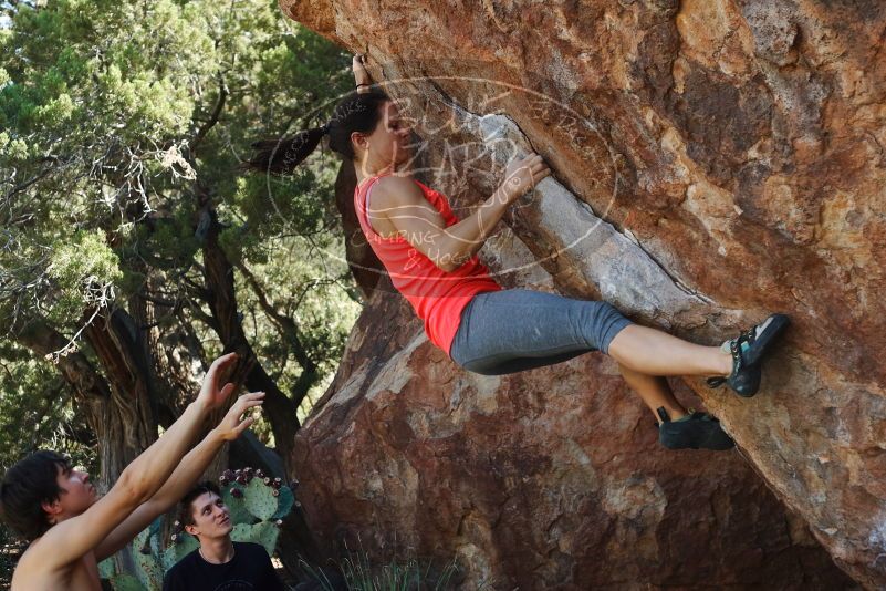 Bouldering in Hueco Tanks on 08/31/2019 with Blue Lizard Climbing and Yoga

Filename: SRM_20190831_1114300.jpg
Aperture: f/4.0
Shutter Speed: 1/640
Body: Canon EOS-1D Mark II
Lens: Canon EF 50mm f/1.8 II