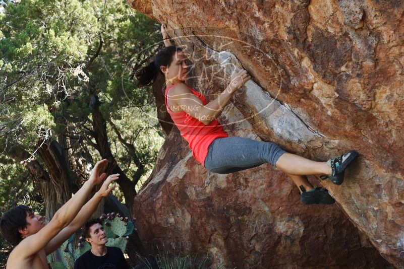 Bouldering in Hueco Tanks on 08/31/2019 with Blue Lizard Climbing and Yoga

Filename: SRM_20190831_1114301.jpg
Aperture: f/4.0
Shutter Speed: 1/640
Body: Canon EOS-1D Mark II
Lens: Canon EF 50mm f/1.8 II