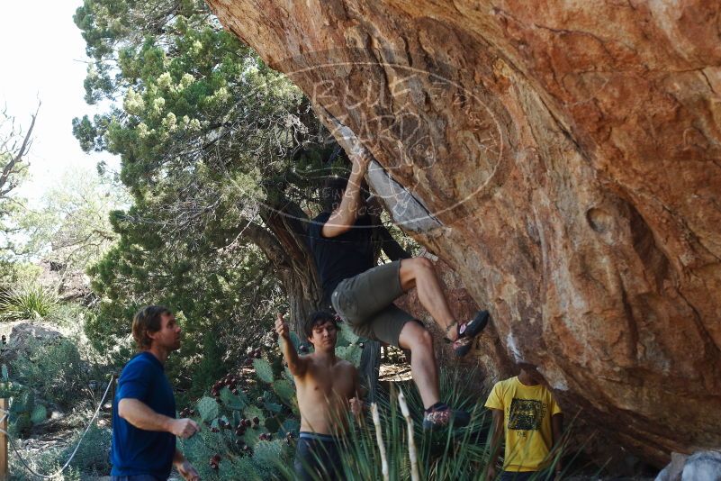 Bouldering in Hueco Tanks on 08/31/2019 with Blue Lizard Climbing and Yoga
Filename: SRM_20190831_1115420.jpg
Aperture: f/4.0
Shutter Speed: 1/640
Body: Canon EOS-1D Mark II
Lens: Canon EF 50mm f/1.8 II