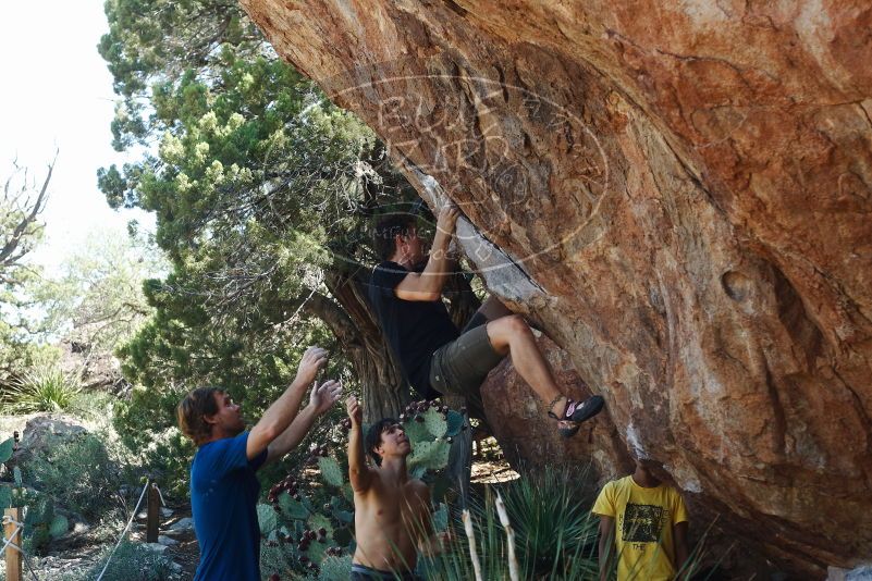 Bouldering in Hueco Tanks on 08/31/2019 with Blue Lizard Climbing and Yoga

Filename: SRM_20190831_1115430.jpg
Aperture: f/4.0
Shutter Speed: 1/640
Body: Canon EOS-1D Mark II
Lens: Canon EF 50mm f/1.8 II