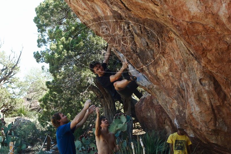 Bouldering in Hueco Tanks on 08/31/2019 with Blue Lizard Climbing and Yoga

Filename: SRM_20190831_1115461.jpg
Aperture: f/4.0
Shutter Speed: 1/800
Body: Canon EOS-1D Mark II
Lens: Canon EF 50mm f/1.8 II