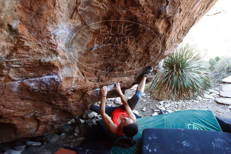 Bouldering in Hueco Tanks on 08/31/2019 with Blue Lizard Climbing and Yoga

Filename: SRM_20190831_1131390.jpg
Aperture: f/4.0
Shutter Speed: 1/250
Body: Canon EOS-1D Mark II
Lens: Canon EF 16-35mm f/2.8 L