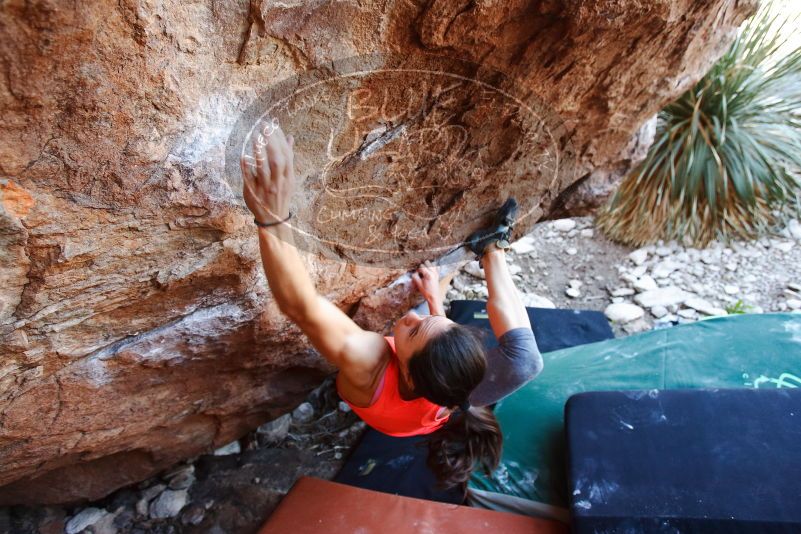 Bouldering in Hueco Tanks on 08/31/2019 with Blue Lizard Climbing and Yoga
Filename: SRM_20190831_1141540.jpg
Aperture: f/4.0
Shutter Speed: 1/200
Body: Canon EOS-1D Mark II
Lens: Canon EF 16-35mm f/2.8 L