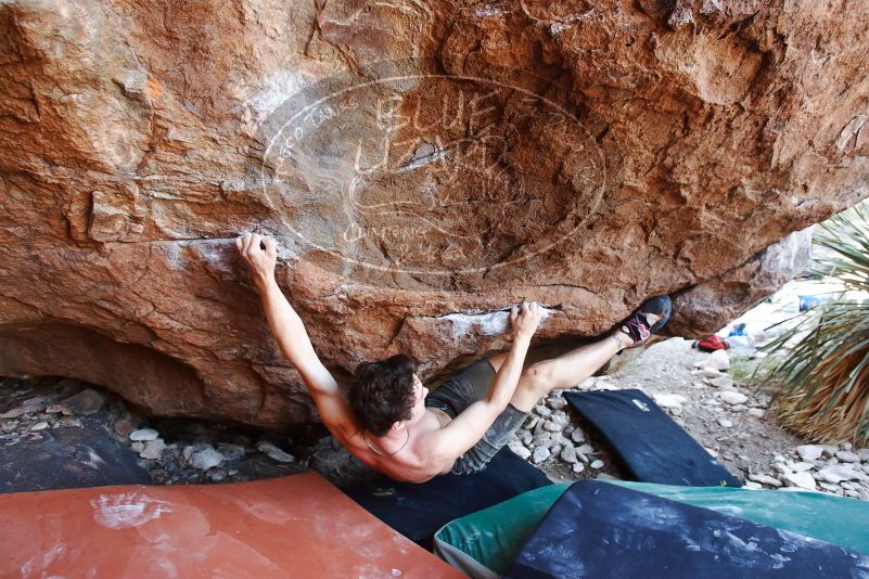 Bouldering in Hueco Tanks on 08/31/2019 with Blue Lizard Climbing and Yoga
Filename: SRM_20190831_1148590.jpg
Aperture: f/4.0
Shutter Speed: 1/200
Body: Canon EOS-1D Mark II
Lens: Canon EF 16-35mm f/2.8 L