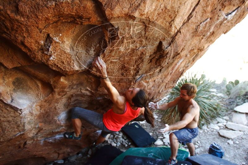 Bouldering in Hueco Tanks on 08/31/2019 with Blue Lizard Climbing and Yoga

Filename: SRM_20190831_1152230.jpg
Aperture: f/4.0
Shutter Speed: 1/400
Body: Canon EOS-1D Mark II
Lens: Canon EF 16-35mm f/2.8 L