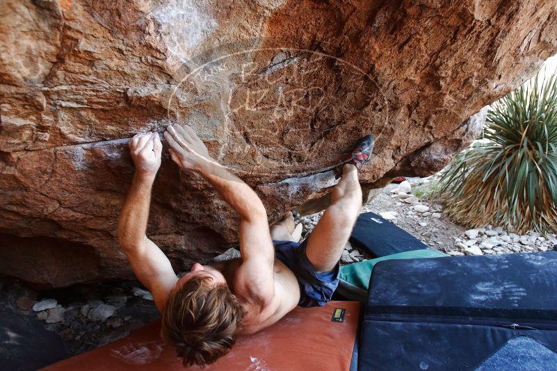 Bouldering in Hueco Tanks on 08/31/2019 with Blue Lizard Climbing and Yoga
Filename: SRM_20190831_1202280.jpg
Aperture: f/4.0
Shutter Speed: 1/200
Body: Canon EOS-1D Mark II
Lens: Canon EF 16-35mm f/2.8 L