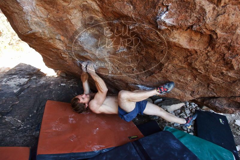 Bouldering in Hueco Tanks on 08/31/2019 with Blue Lizard Climbing and Yoga

Filename: SRM_20190831_1202310.jpg
Aperture: f/4.0
Shutter Speed: 1/320
Body: Canon EOS-1D Mark II
Lens: Canon EF 16-35mm f/2.8 L
