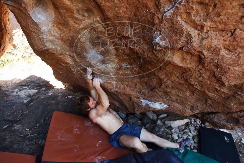 Bouldering in Hueco Tanks on 08/31/2019 with Blue Lizard Climbing and Yoga
Filename: SRM_20190831_1202320.jpg
Aperture: f/4.0
Shutter Speed: 1/400
Body: Canon EOS-1D Mark II
Lens: Canon EF 16-35mm f/2.8 L