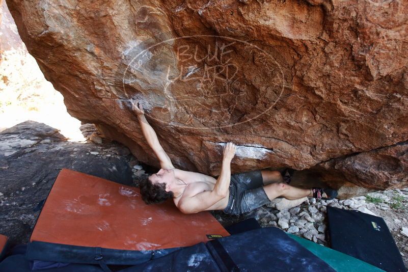Bouldering in Hueco Tanks on 08/31/2019 with Blue Lizard Climbing and Yoga

Filename: SRM_20190831_1203470.jpg
Aperture: f/4.0
Shutter Speed: 1/250
Body: Canon EOS-1D Mark II
Lens: Canon EF 16-35mm f/2.8 L