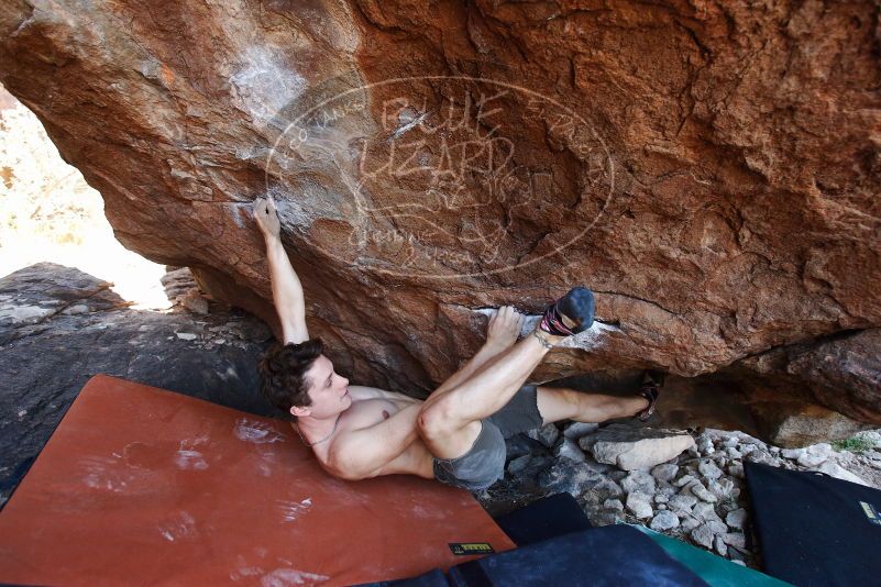 Bouldering in Hueco Tanks on 08/31/2019 with Blue Lizard Climbing and Yoga

Filename: SRM_20190831_1203490.jpg
Aperture: f/4.0
Shutter Speed: 1/250
Body: Canon EOS-1D Mark II
Lens: Canon EF 16-35mm f/2.8 L