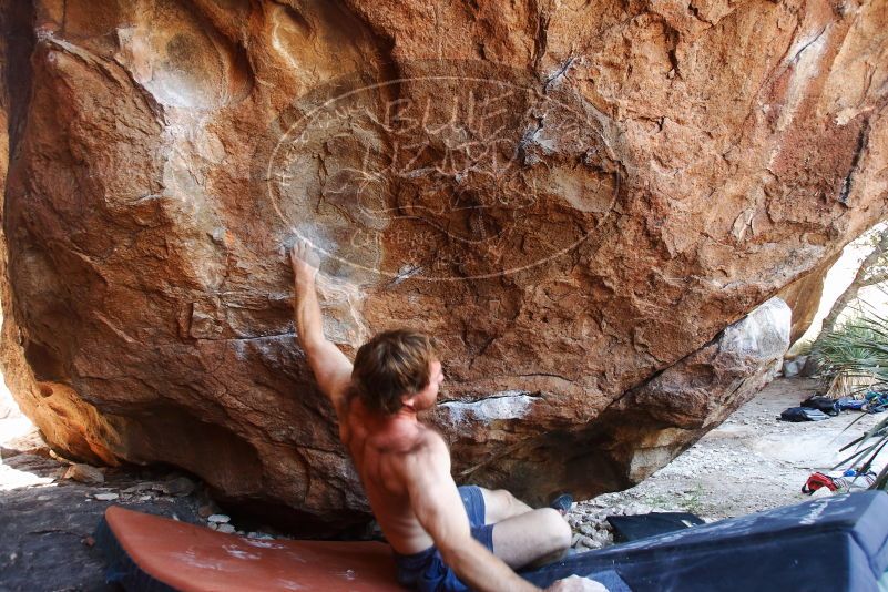 Bouldering in Hueco Tanks on 08/31/2019 with Blue Lizard Climbing and Yoga
Filename: SRM_20190831_1204240.jpg
Aperture: f/4.0
Shutter Speed: 1/250
Body: Canon EOS-1D Mark II
Lens: Canon EF 16-35mm f/2.8 L