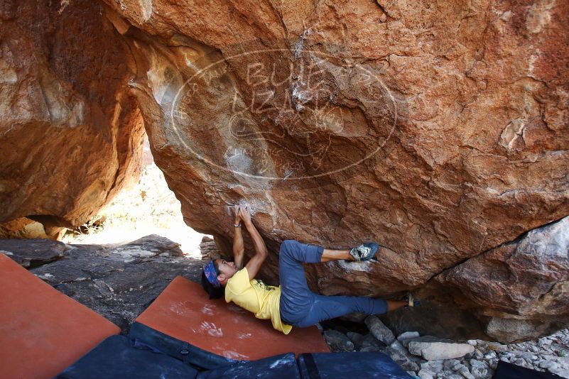 Bouldering in Hueco Tanks on 08/31/2019 with Blue Lizard Climbing and Yoga

Filename: SRM_20190831_1206530.jpg
Aperture: f/4.0
Shutter Speed: 1/320
Body: Canon EOS-1D Mark II
Lens: Canon EF 16-35mm f/2.8 L