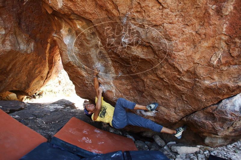 Bouldering in Hueco Tanks on 08/31/2019 with Blue Lizard Climbing and Yoga

Filename: SRM_20190831_1206560.jpg
Aperture: f/4.0
Shutter Speed: 1/320
Body: Canon EOS-1D Mark II
Lens: Canon EF 16-35mm f/2.8 L
