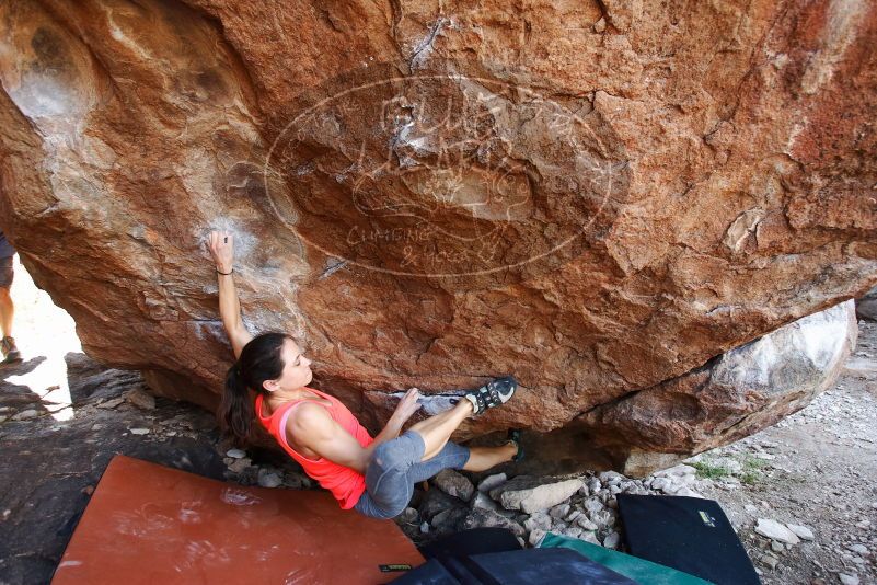 Bouldering in Hueco Tanks on 08/31/2019 with Blue Lizard Climbing and Yoga

Filename: SRM_20190831_1224460.jpg
Aperture: f/4.0
Shutter Speed: 1/250
Body: Canon EOS-1D Mark II
Lens: Canon EF 16-35mm f/2.8 L