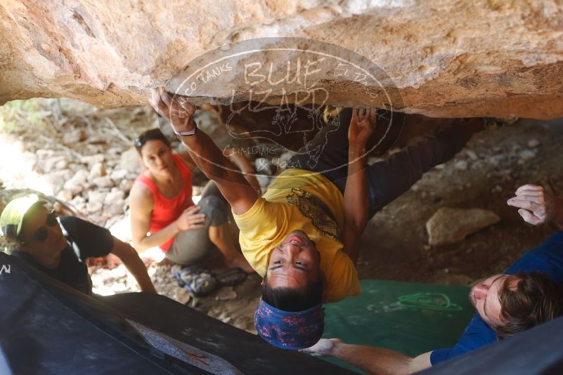 Bouldering in Hueco Tanks on 08/31/2019 with Blue Lizard Climbing and Yoga

Filename: SRM_20190831_1313140.jpg
Aperture: f/3.2
Shutter Speed: 1/160
Body: Canon EOS-1D Mark II
Lens: Canon EF 50mm f/1.8 II