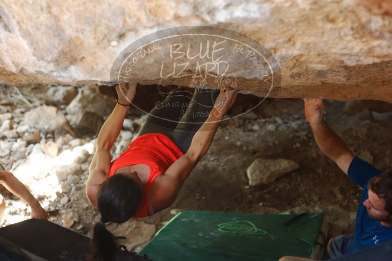 Bouldering in Hueco Tanks on 08/31/2019 with Blue Lizard Climbing and Yoga
Filename: SRM_20190831_1316580.jpg
Aperture: f/2.8
Shutter Speed: 1/250
Body: Canon EOS-1D Mark II
Lens: Canon EF 50mm f/1.8 II