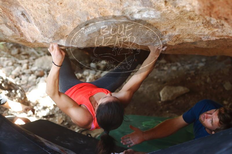 Bouldering in Hueco Tanks on 08/31/2019 with Blue Lizard Climbing and Yoga
Filename: SRM_20190831_1317210.jpg
Aperture: f/2.8
Shutter Speed: 1/250
Body: Canon EOS-1D Mark II
Lens: Canon EF 50mm f/1.8 II