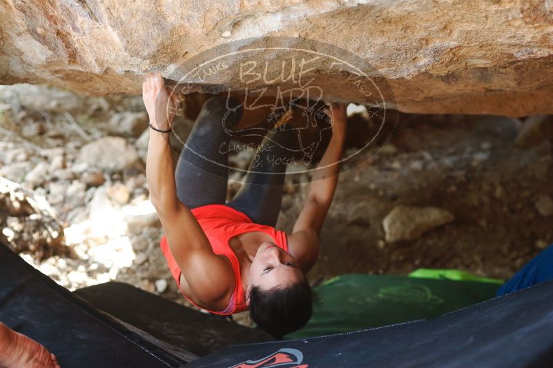 Bouldering in Hueco Tanks on 08/31/2019 with Blue Lizard Climbing and Yoga
Filename: SRM_20190831_1325520.jpg
Aperture: f/2.8
Shutter Speed: 1/400
Body: Canon EOS-1D Mark II
Lens: Canon EF 50mm f/1.8 II
