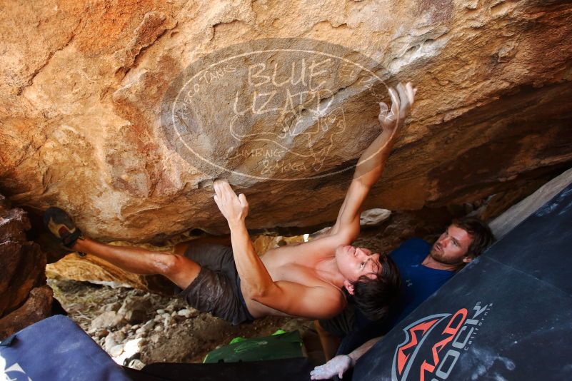 Bouldering in Hueco Tanks on 08/31/2019 with Blue Lizard Climbing and Yoga

Filename: SRM_20190831_1352210.jpg
Aperture: f/4.0
Shutter Speed: 1/200
Body: Canon EOS-1D Mark II
Lens: Canon EF 16-35mm f/2.8 L
