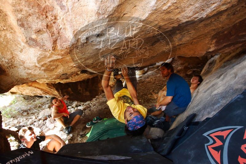 Bouldering in Hueco Tanks on 08/31/2019 with Blue Lizard Climbing and Yoga
Filename: SRM_20190831_1357570.jpg
Aperture: f/4.0
Shutter Speed: 1/125
Body: Canon EOS-1D Mark II
Lens: Canon EF 16-35mm f/2.8 L