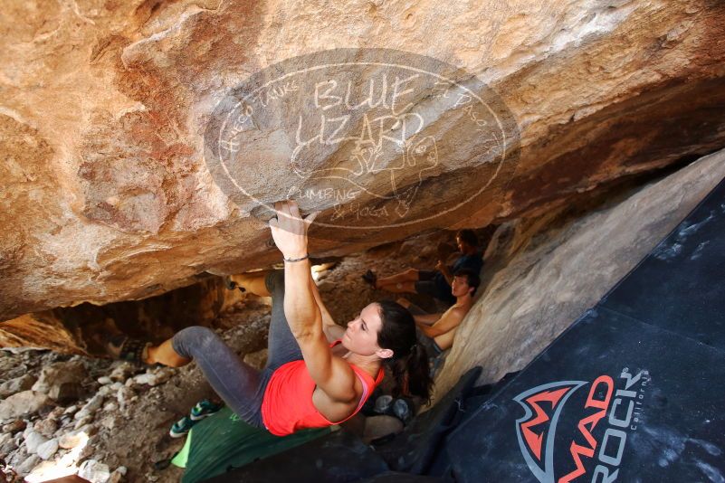 Bouldering in Hueco Tanks on 08/31/2019 with Blue Lizard Climbing and Yoga
Filename: SRM_20190831_1359180.jpg
Aperture: f/4.0
Shutter Speed: 1/160
Body: Canon EOS-1D Mark II
Lens: Canon EF 16-35mm f/2.8 L