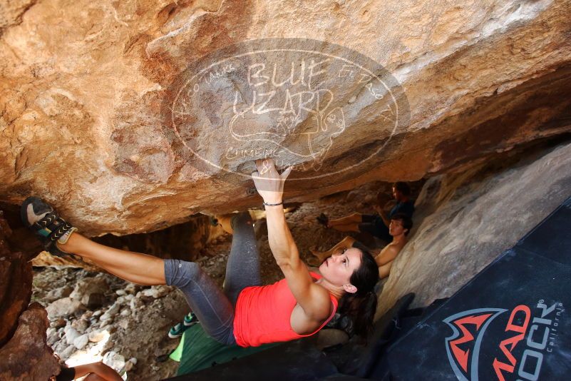Bouldering in Hueco Tanks on 08/31/2019 with Blue Lizard Climbing and Yoga
Filename: SRM_20190831_1359190.jpg
Aperture: f/4.0
Shutter Speed: 1/160
Body: Canon EOS-1D Mark II
Lens: Canon EF 16-35mm f/2.8 L