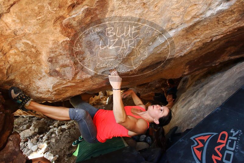 Bouldering in Hueco Tanks on 08/31/2019 with Blue Lizard Climbing and Yoga

Filename: SRM_20190831_1359210.jpg
Aperture: f/4.0
Shutter Speed: 1/200
Body: Canon EOS-1D Mark II
Lens: Canon EF 16-35mm f/2.8 L