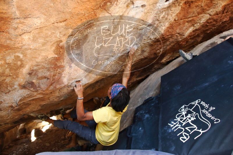 Bouldering in Hueco Tanks on 08/31/2019 with Blue Lizard Climbing and Yoga
Filename: SRM_20190831_1408090.jpg
Aperture: f/4.0
Shutter Speed: 1/200
Body: Canon EOS-1D Mark II
Lens: Canon EF 16-35mm f/2.8 L