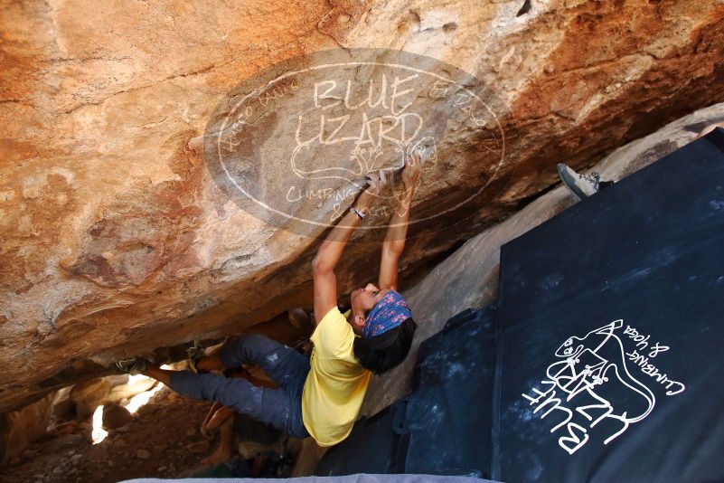 Bouldering in Hueco Tanks on 08/31/2019 with Blue Lizard Climbing and Yoga

Filename: SRM_20190831_1408110.jpg
Aperture: f/4.0
Shutter Speed: 1/200
Body: Canon EOS-1D Mark II
Lens: Canon EF 16-35mm f/2.8 L