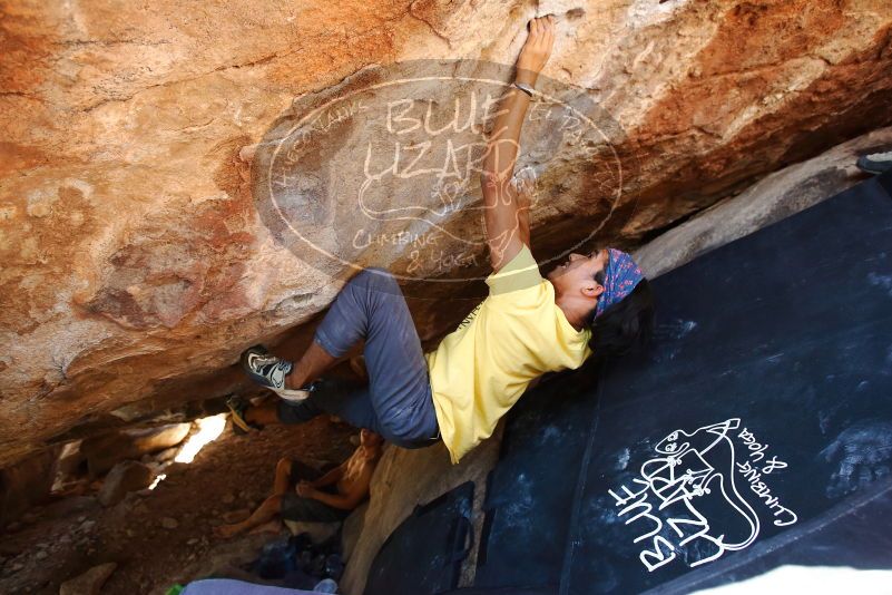 Bouldering in Hueco Tanks on 08/31/2019 with Blue Lizard Climbing and Yoga

Filename: SRM_20190831_1423040.jpg
Aperture: f/4.0
Shutter Speed: 1/250
Body: Canon EOS-1D Mark II
Lens: Canon EF 16-35mm f/2.8 L