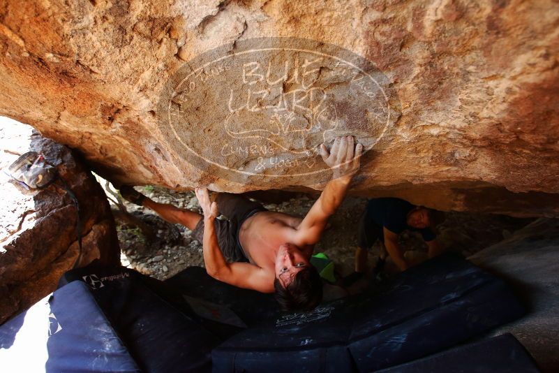 Bouldering in Hueco Tanks on 08/31/2019 with Blue Lizard Climbing and Yoga
Filename: SRM_20190831_1459380.jpg
Aperture: f/4.0
Shutter Speed: 1/200
Body: Canon EOS-1D Mark II
Lens: Canon EF 16-35mm f/2.8 L