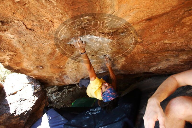 Bouldering in Hueco Tanks on 08/31/2019 with Blue Lizard Climbing and Yoga
Filename: SRM_20190831_1506460.jpg
Aperture: f/4.0
Shutter Speed: 1/400
Body: Canon EOS-1D Mark II
Lens: Canon EF 16-35mm f/2.8 L