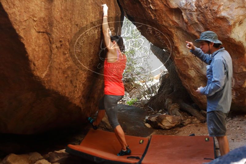 Bouldering in Hueco Tanks on 08/31/2019 with Blue Lizard Climbing and Yoga
Filename: SRM_20190831_1622480.jpg
Aperture: f/4.0
Shutter Speed: 1/400
Body: Canon EOS-1D Mark II
Lens: Canon EF 50mm f/1.8 II