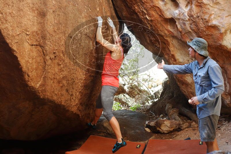 Bouldering in Hueco Tanks on 08/31/2019 with Blue Lizard Climbing and Yoga

Filename: SRM_20190831_1622530.jpg
Aperture: f/4.0
Shutter Speed: 1/320
Body: Canon EOS-1D Mark II
Lens: Canon EF 50mm f/1.8 II