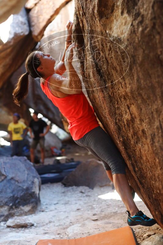 Bouldering in Hueco Tanks on 08/31/2019 with Blue Lizard Climbing and Yoga
Filename: SRM_20190831_1627520.jpg
Aperture: f/2.8
Shutter Speed: 1/400
Body: Canon EOS-1D Mark II
Lens: Canon EF 50mm f/1.8 II