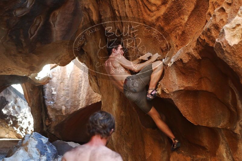 Bouldering in Hueco Tanks on 08/31/2019 with Blue Lizard Climbing and Yoga
Filename: SRM_20190831_1725330.jpg
Aperture: f/2.8
Shutter Speed: 1/320
Body: Canon EOS-1D Mark II
Lens: Canon EF 50mm f/1.8 II