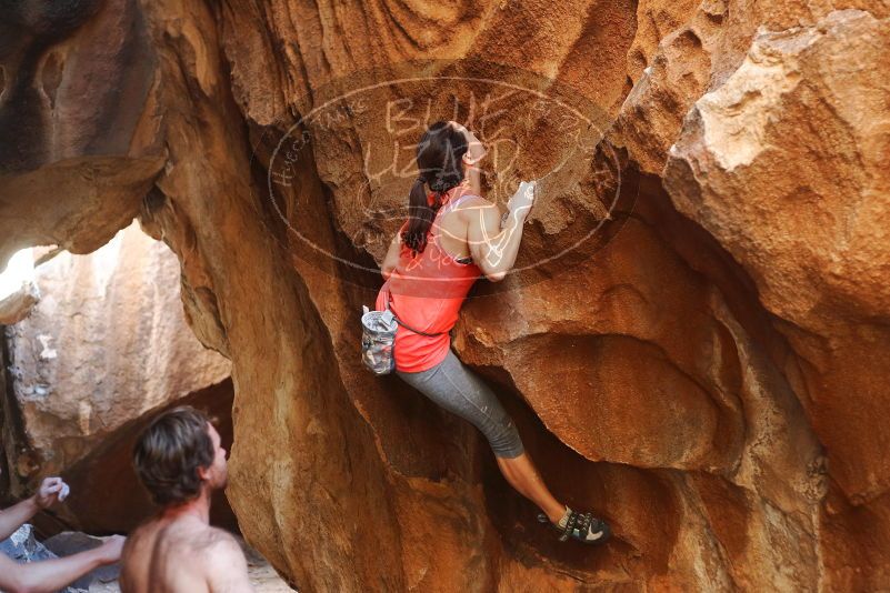 Bouldering in Hueco Tanks on 08/31/2019 with Blue Lizard Climbing and Yoga

Filename: SRM_20190831_1727420.jpg
Aperture: f/2.8
Shutter Speed: 1/250
Body: Canon EOS-1D Mark II
Lens: Canon EF 50mm f/1.8 II