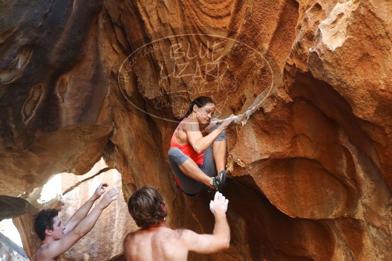 Bouldering in Hueco Tanks on 08/31/2019 with Blue Lizard Climbing and Yoga
Filename: SRM_20190831_1728010.jpg
Aperture: f/2.8
Shutter Speed: 1/250
Body: Canon EOS-1D Mark II
Lens: Canon EF 50mm f/1.8 II