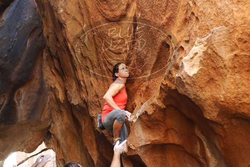 Bouldering in Hueco Tanks on 08/31/2019 with Blue Lizard Climbing and Yoga
Filename: SRM_20190831_1728110.jpg
Aperture: f/2.8
Shutter Speed: 1/250
Body: Canon EOS-1D Mark II
Lens: Canon EF 50mm f/1.8 II