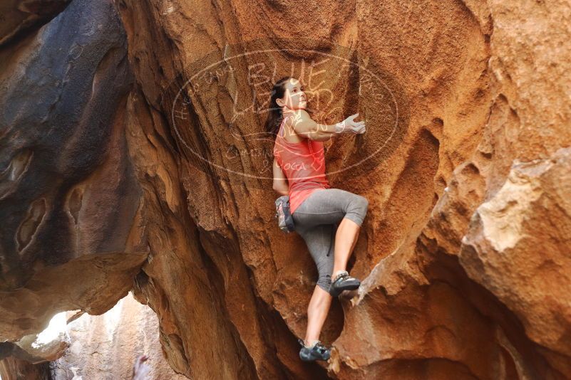 Bouldering in Hueco Tanks on 08/31/2019 with Blue Lizard Climbing and Yoga
Filename: SRM_20190831_1728490.jpg
Aperture: f/2.8
Shutter Speed: 1/320
Body: Canon EOS-1D Mark II
Lens: Canon EF 50mm f/1.8 II