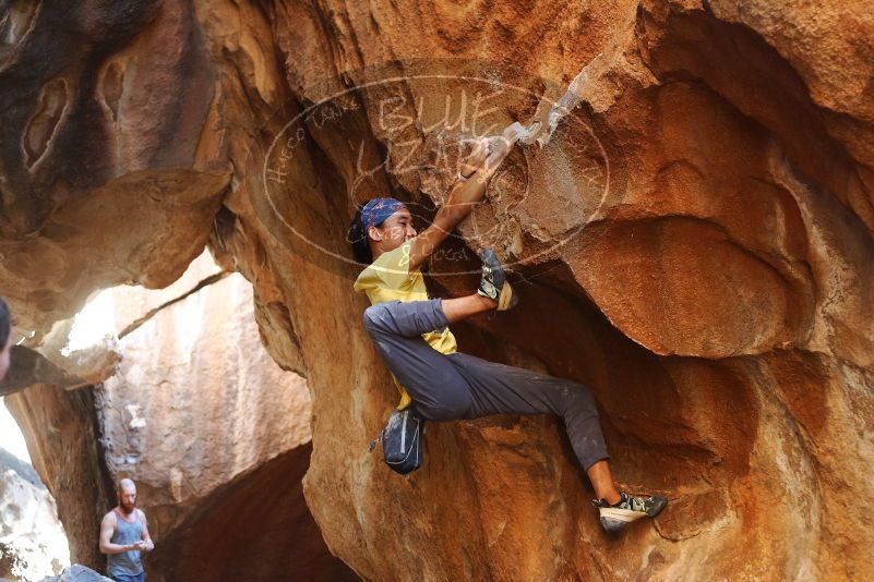 Bouldering in Hueco Tanks on 08/31/2019 with Blue Lizard Climbing and Yoga

Filename: SRM_20190831_1730210.jpg
Aperture: f/2.8
Shutter Speed: 1/250
Body: Canon EOS-1D Mark II
Lens: Canon EF 50mm f/1.8 II