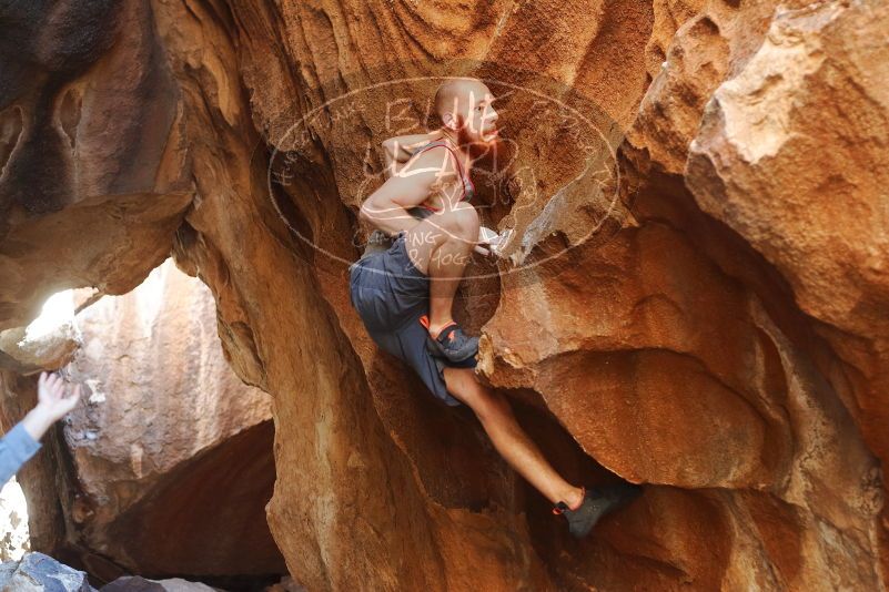 Bouldering in Hueco Tanks on 08/31/2019 with Blue Lizard Climbing and Yoga
Filename: SRM_20190831_1732070.jpg
Aperture: f/2.8
Shutter Speed: 1/250
Body: Canon EOS-1D Mark II
Lens: Canon EF 50mm f/1.8 II